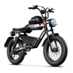 HAPPYRUN G100 ELECTRIC BIKE 2000W DUAL BATTERY